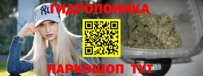 скорость Аргун