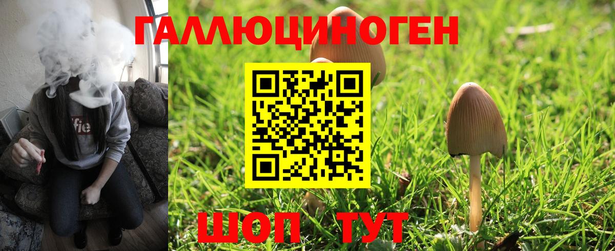 Галлюциногенные грибы MAGIC MUSHROOMS Выкса